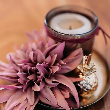 Lejlighed Sohana Lifestyle I Stefan's I Rust