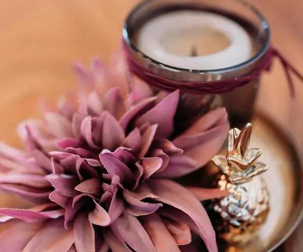 Appartement Sohana Lifestyle I Stefan's I Rust